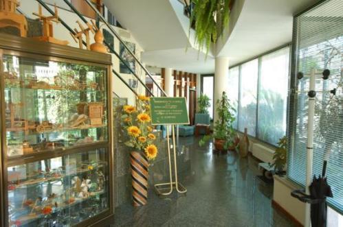 סבר דו ווגה Hotel O Cortico מראה חיצוני תמונה